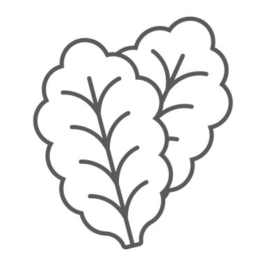 Yaprak marul ince çizgi simgesi, bitkisel ve diyet, Vejeteryan işareti, vektör grafikleri, Doğrusal model beyaz bir arka planda eps 10.