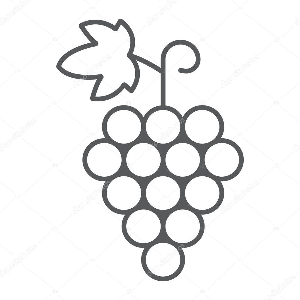 Grapes thin line icon, fruit and vitamin, vine sign, vector graphics, a linear pattern on a white background, eps 10.