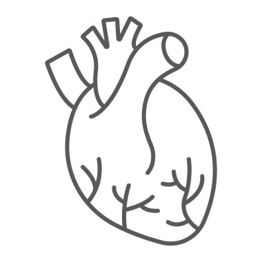 İnsan kalp ince çizgi simgesi, anatomi ve biyoloji, Kardiyoloji işareti, vektör grafikleri, Doğrusal model beyaz bir arka planda eps 10.