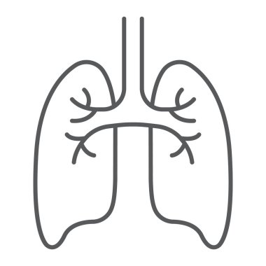 Akciğerler ince çizgi simgesi, anatomi ve biyoloji, göğüs hastalıkları işaret, vektör grafikleri, Doğrusal model beyaz bir arka planda eps 10.