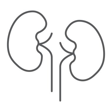 Böbrek ince çizgi simgesi, anatomi ve biyoloji, Üroloji işareti, vektör grafikleri, Doğrusal model beyaz bir arka planda eps 10.