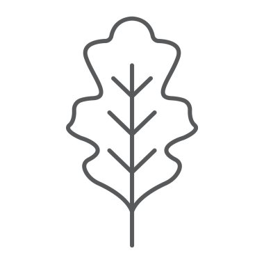 Meşe yaprağı ince çizgi simgesi, Doğa ve botanik, yeşillik işareti, vektör grafikleri, Doğrusal model beyaz bir arka plan üzerinde.