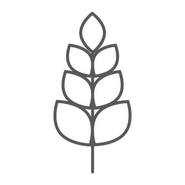 Buğday ince çizgi simgesi, tarım ve çiftlik, tahıl işareti, vektör grafikleri, doğrusal model beyaz bir arka plan üzerinde.