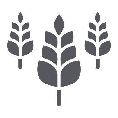 Spikelet glyph simgesi, çiftlik ve tarım, buğday işareti, vektör grafikleri, beyaz arka plan üzerinde sağlam bir desen.