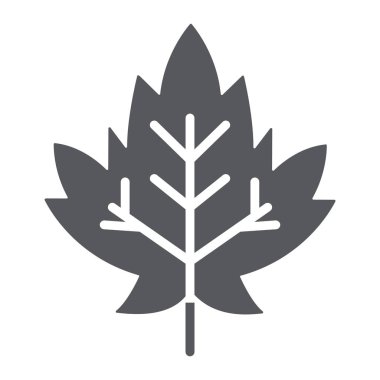 Akçaağaç yaprağı glyph simgesi, yeşillik ve doğa, sonbahar yaprağı işareti, vektör grafikleri, beyaz bir arka plan üzerinde sağlam bir desen.