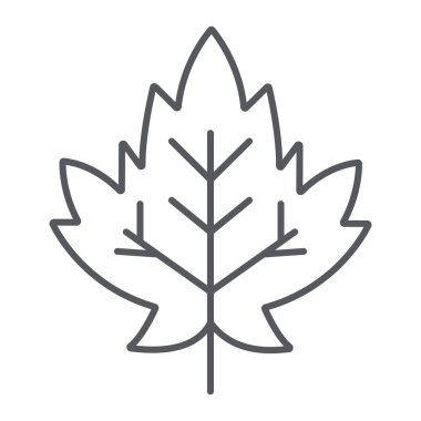 Akçaağaç yaprağı ince çizgi simgesi, yeşillik ve doğa, sonbahar yaprağı işareti, vektör grafikleri, beyaz arka plan üzerinde doğrusal bir desen.