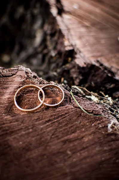 Snubní Prsteny Ležící Stromě Pařez Lese Svatební Doplňky Dřevěné Pozadí — Stock fotografie