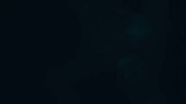 Golden bokeh lights light leak lens flare luxurious abstract overlay transition