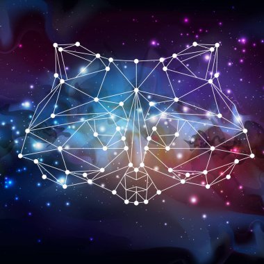 Çokgen tirangle hayvan rakun açık alan arka plan üzerinde soyut. Hipster hayvan illüstrasyon.