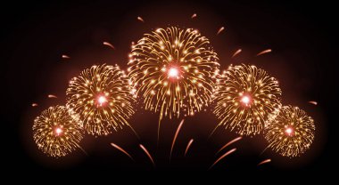 Vektör tatil Festivali Altın havai fişek. Bağımsızlık günü