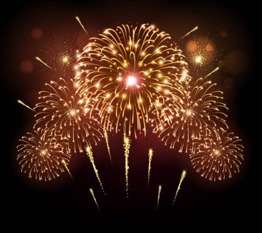 Vektör tatil Festivali Altın havai fişek. Bağımsızlık günü