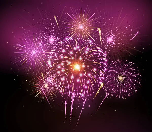 Fête Des Fêtes Vectorielles Feu Artifice Rose Jour Indépendance — Image vectorielle