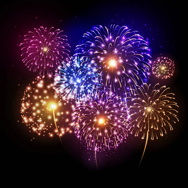 Festa Del Vettore Fuochi Artificio Colorati Giorno Indipendenza — Vettoriale Stock