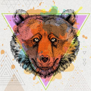 Hipster hayvan ayı sanatsal Çokgen suluboya arka plan üzerinde