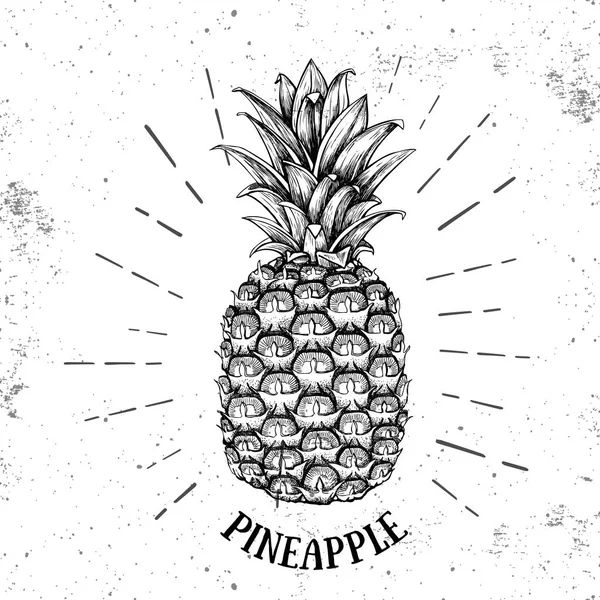 Illustration réaliste de l'ananas des fruits tropiques sur fond de grunge — Image vectorielle