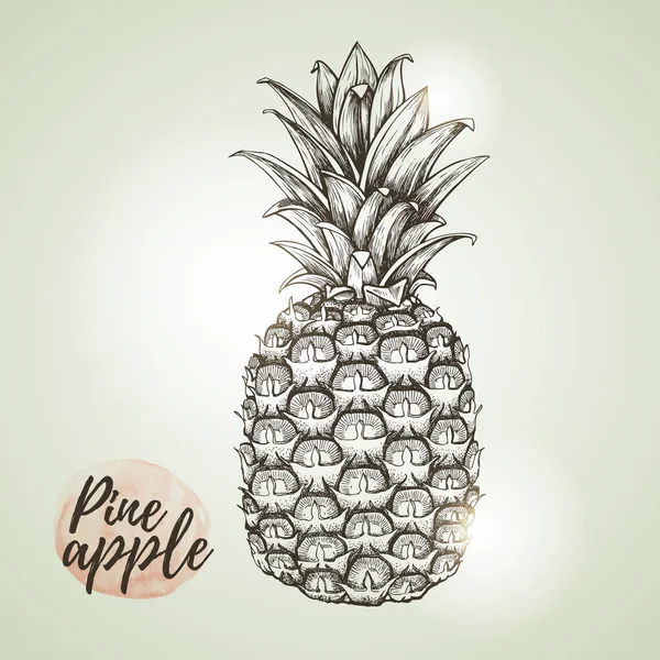 Illustration vintage réaliste de l'ananas aux fruits tropicaux — Image vectorielle
