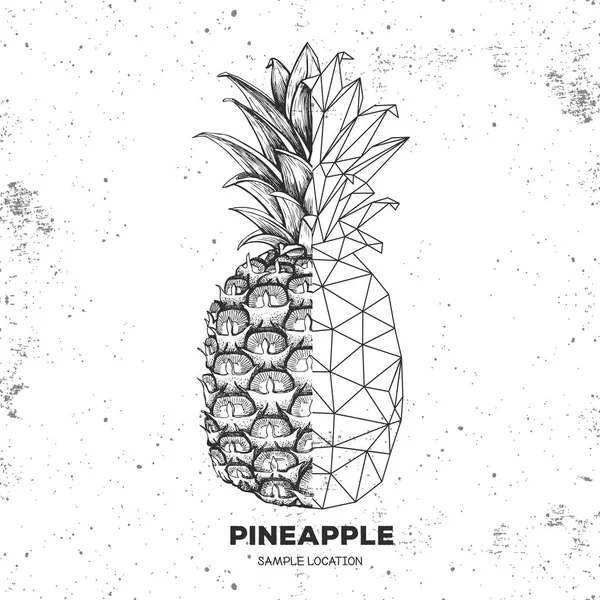 Ananas fruitier tropique Hipster réaliste et polygonal sur fond de grunge — Image vectorielle