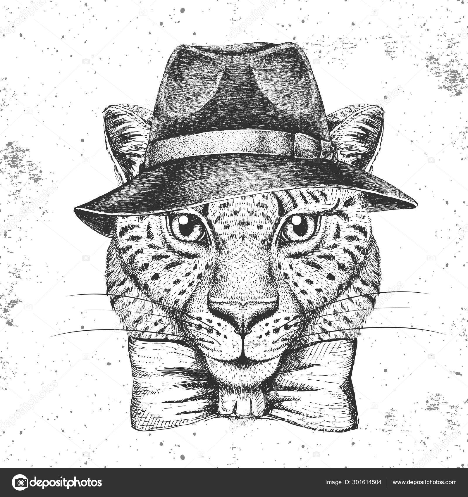 Hipster dyr gepard med hat. Næseparti af gepard af ©annbozshko #301614504