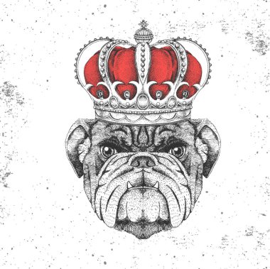 Hipster animal bulldog in crown. Hand drawing Muzzle of animal bulldog vector