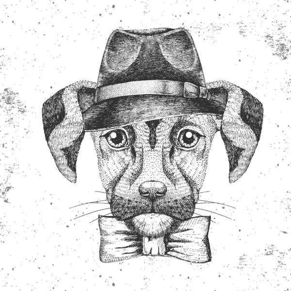 Hipster perro animal con sombrero. Dibujo a mano Bozal de perro animal — Vector de stock