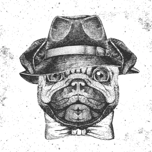 Hipster animal pug-dog with hat. Hand drawing Muzzle of animal pug-dog — Stock Vector