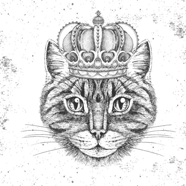 皇冠上的嬉皮士动物猫。动物猫的手绘枪口 — 图库矢量图片