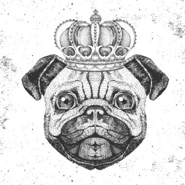Retro Hipster hayvan pug-köpek taç. Pug-köpek el çizim Namlu