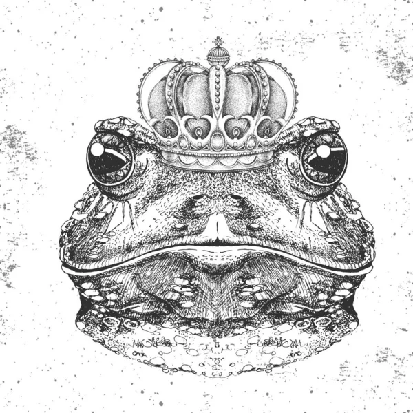 Hipsterová Žabka v koruně. Ruční kreslení čenich žabí — Stockový vektor