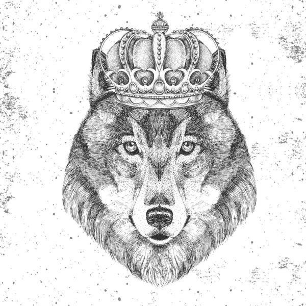 王冠のヒップスター動物オオカミ。オオカミの手描きマズル — ストックベクタ