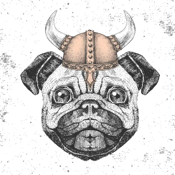 Hipster hayvan pug-köpek bir viking kask giyiyor. Pug-köpek el çizim Namlu — Stok Vektör