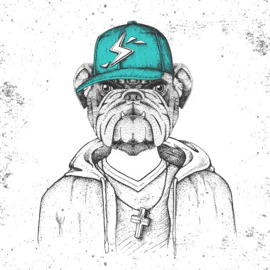 Hipster hayvan bulldog rapçi gibi kap giymiş. Bulldog el çizim Namlu
