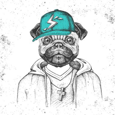 Hipster hayvan pug-köpek rapçi gibi kap giymiş. Pug-köpek el çizim Namlu