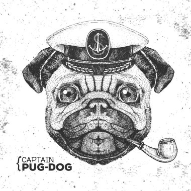 Hipster hayvan pug köpek kaptan kapağı ve sigara borusu. Pug köpek El çizim Namlu