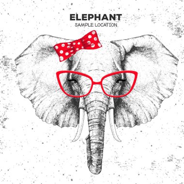 Retro Hipster hayvan fili. Hayvan filinin el çizimi Namlusu. 60'lı ların kızı