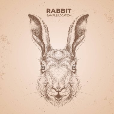 Hippi hayvan tavşanı. El çizimi tavşan ağzı