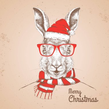 Yeni yıl şapkası ve atkısı takmış Noel Hippisi moda hayvan tavşanı.