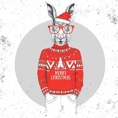 Yeni yıl şapkası ve kazak giymiş Noel Hippisi moda hayvan tavşanı.