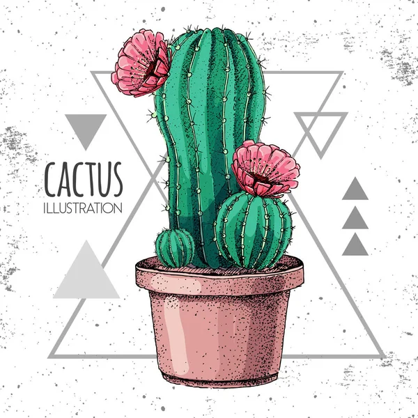 Dibujo a mano vector cactus ilustración en el fondo del triángulo grunge — Vector de stock