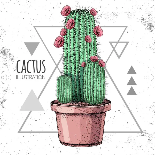 Hand drawing cactus vector illustration on grunge triangle background — Stock Vector