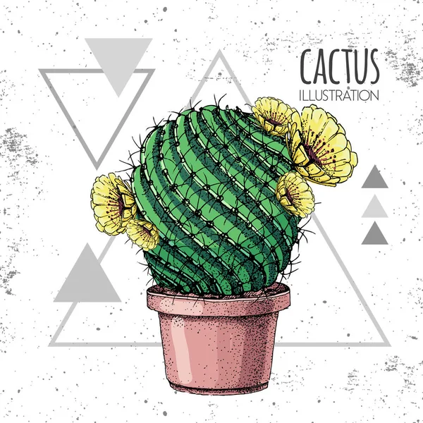 Hand drawing cactus vector illustration on grunge triangle background — Stock Vector