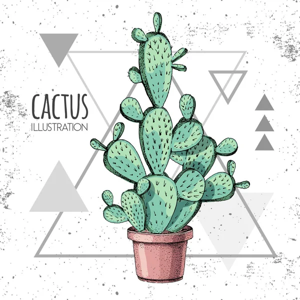 Dibujo a mano vector cactus ilustración en el fondo del triángulo grunge — Archivo Imágenes Vectoriales