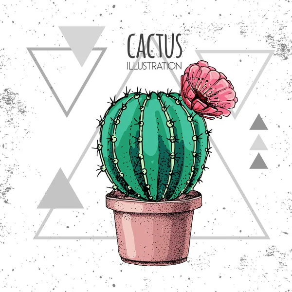 Handtekening cactus vector illustratie op grunge driehoek achtergrond — Stockvector