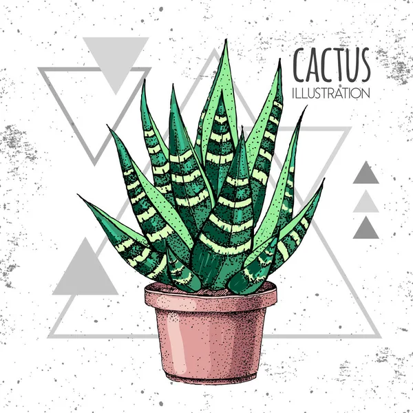 Ręczny rysunek kaktusa wektor ilustracja na grunge trójkąta tła — Wektor stockowy