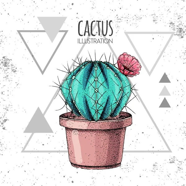 Handtekening cactus vector illustratie op grunge driehoek achtergrond — Stockvector