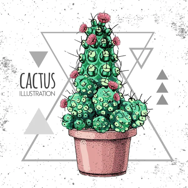 Handtekening cactus vector illustratie op grunge driehoek achtergrond — Stockvector