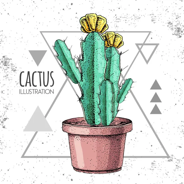 Dibujo a mano vector cactus ilustración en el fondo del triángulo grunge — Archivo Imágenes Vectoriales