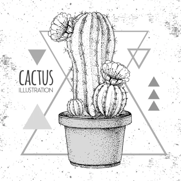 Dibujo a mano vector cactus ilustración en el fondo del triángulo grunge — Vector de stock