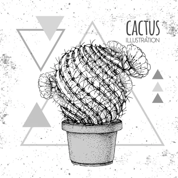 Dibujo a mano vector cactus ilustración en el fondo del triángulo grunge — Vector de stock