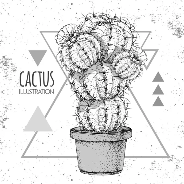 Dibujo a mano vector cactus ilustración en el fondo del triángulo grunge — Vector de stock