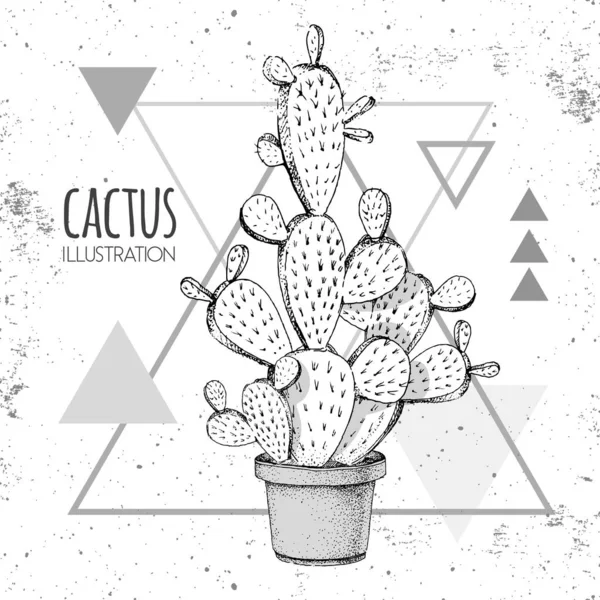 Dibujo a mano vector cactus ilustración en el fondo del triángulo grunge — Archivo Imágenes Vectoriales